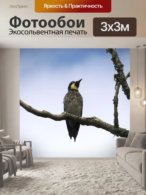 Фотообои Картинки