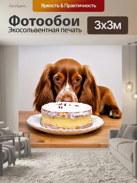 Фотообои кокер-спаниель, с пудровым тортом на столе, любопытно смотрящий на него