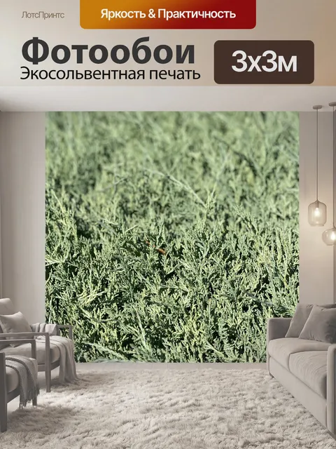 Фотообои Растения