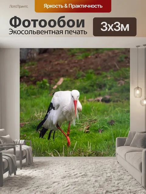 Фотообои Птица
