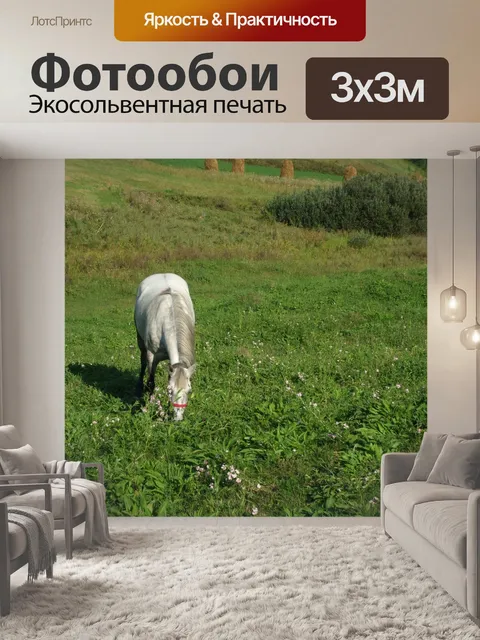 Фотообои Белая лошадь
