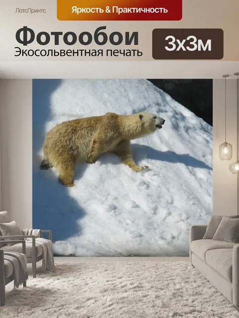 Фотообои Белый медведь