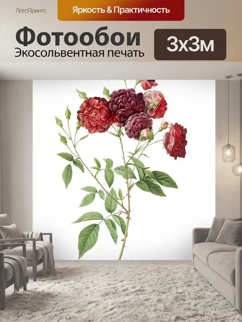 Фотообои Роза цветок старинная картина