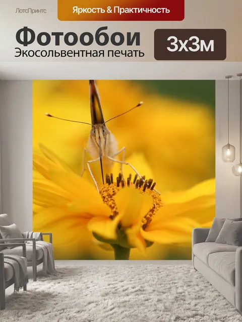 Фотообои Бабочка