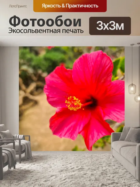 Фотообои Красный цветок гибискуса