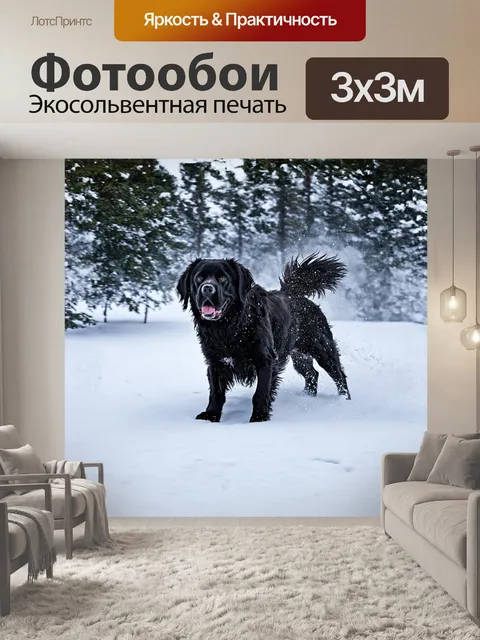 Фотообои громадный черный ньюфаундленд идет через метель