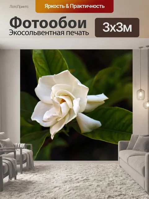 Фотообои ароматный белый цветок гардении