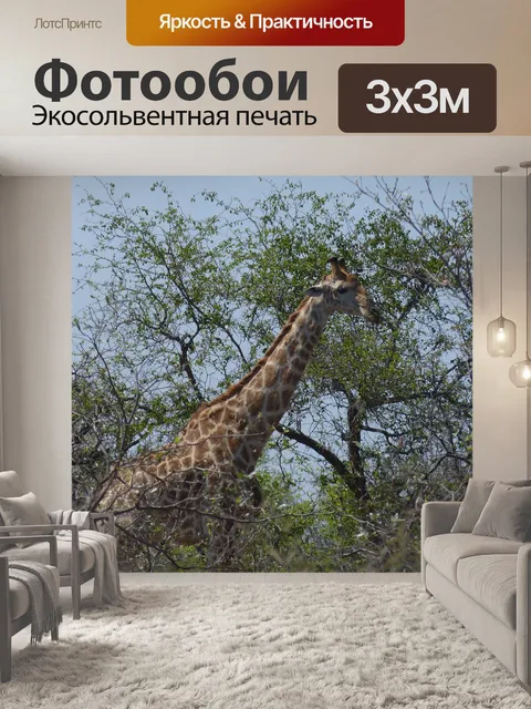 Фотообои Южная африка