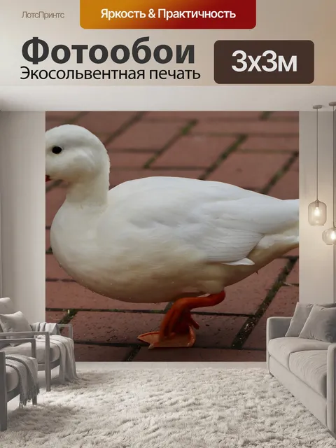 Фотообои Утка