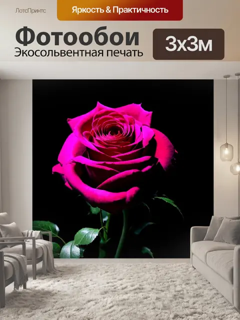 Фотообои розы в стиле нуар, с контрастным освещением, выделяющим каждую линию и форму цветка