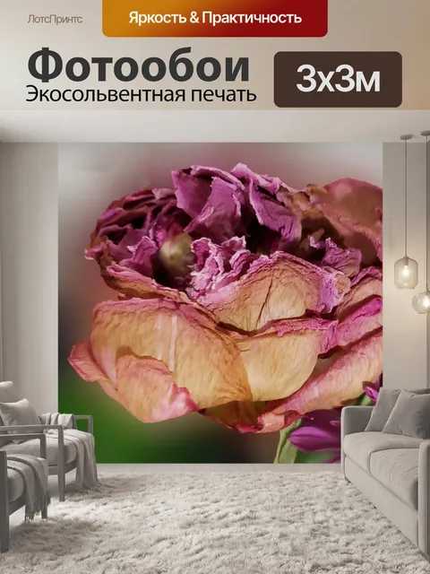 Фотообои Пион цветок