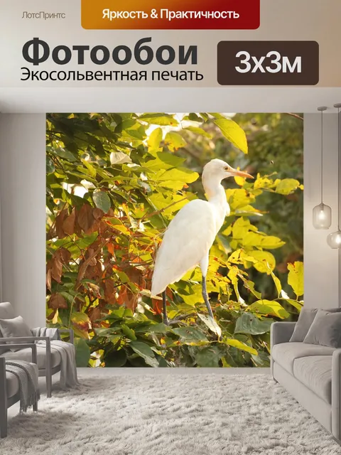 Фотообои Цапля