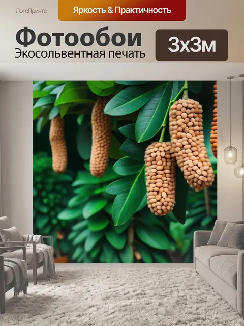 Фотообои кедровые орехи и фрукты в оранжереях