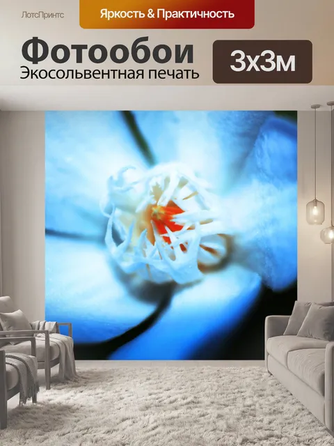 Фотообои Синий один цветок