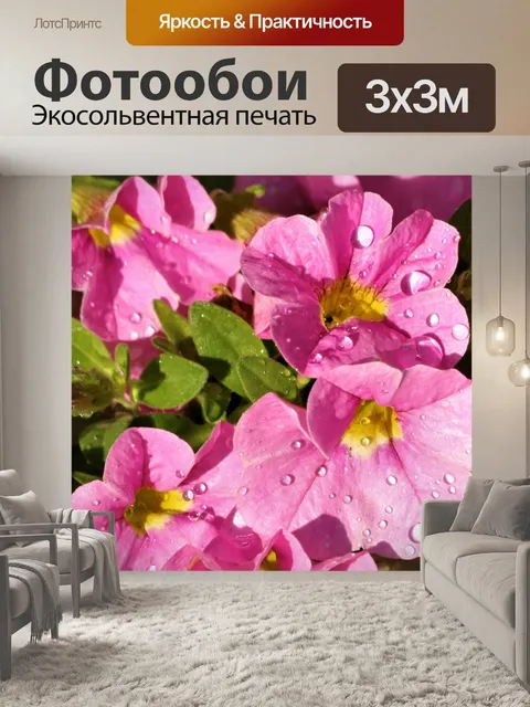 Фотообои Розовые петунии крупным планом