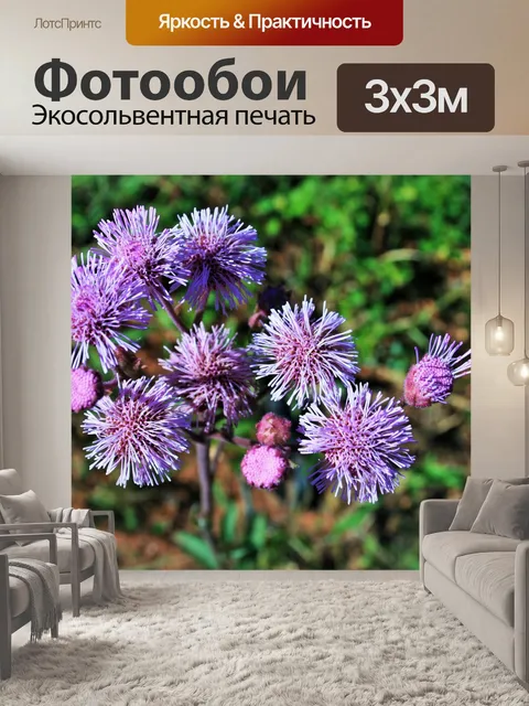 Фотообои Розовый чертополох в степи