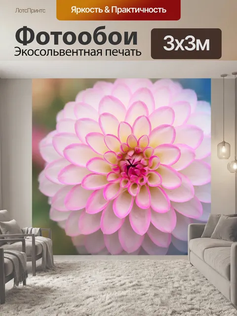 Фотообои Цветок георгина розовый розовый