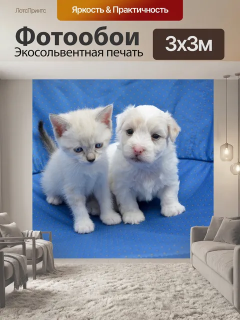 Фотообои Щенок
