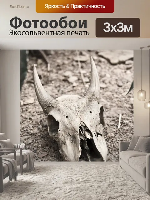 Фотообои Бык череп
