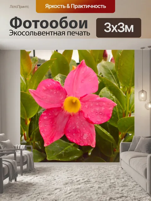 Фотообои Цветок