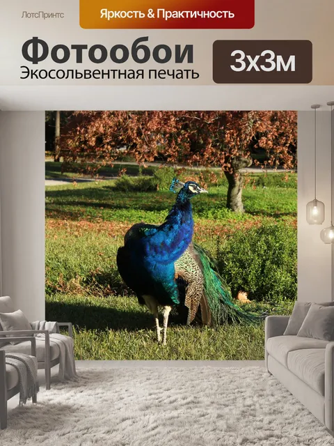 Фотообои Природа