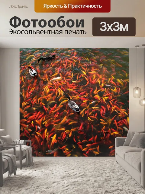 Фотообои Koi рыбы