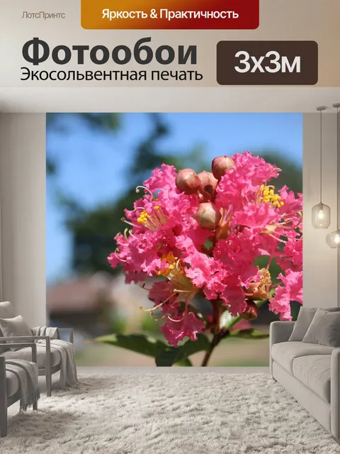 Фотообои Креп мирт