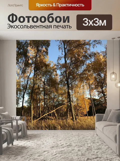 Фотообои Лес
