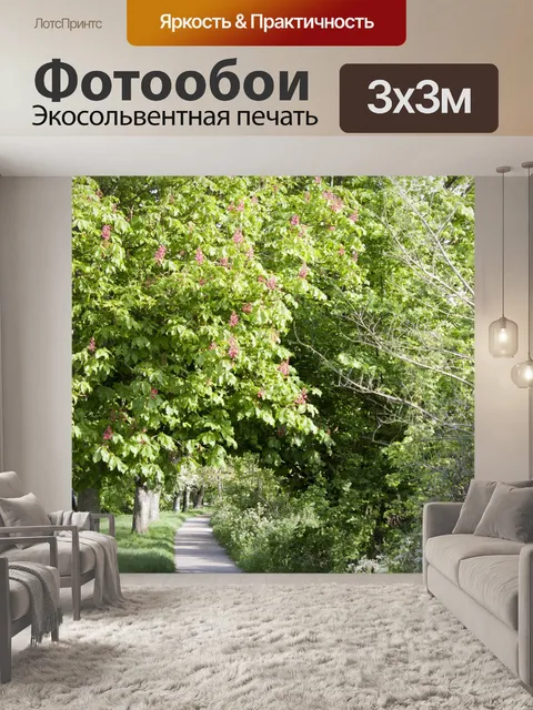 Фотообои Деревьев вдоль Прогулка