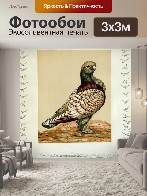 Фотообои Голубь птица винтаж старый