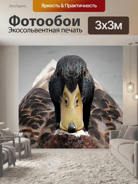 Фотообои Утка
