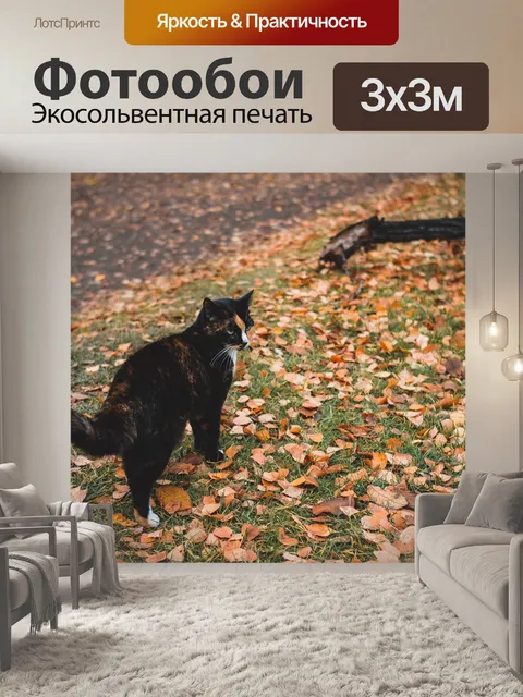 Фотообои Осень
