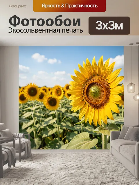 Фотообои Подсолнухи под ясным небом