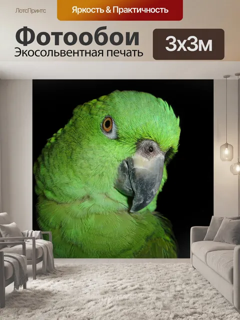 Фотообои Амазонка с желтым ворсом
