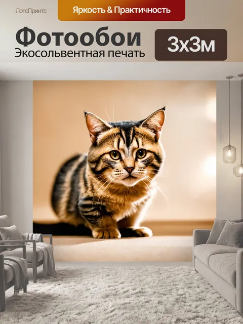Фотообои коты, создающие свои собственные фильмы