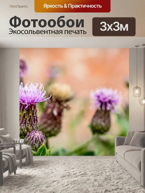 Фотообои Thistle Цветы