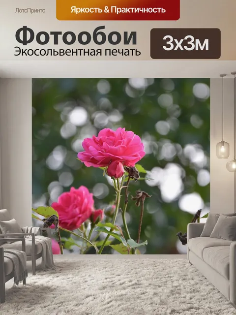 Фотообои Розовый куст