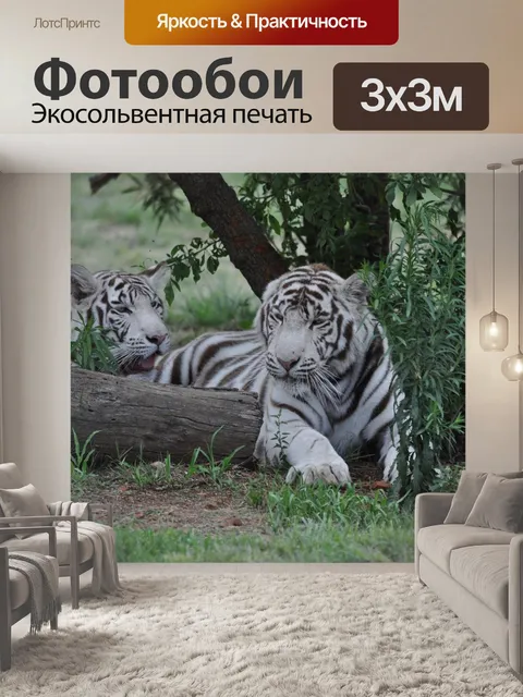 Фотообои Белые тигры