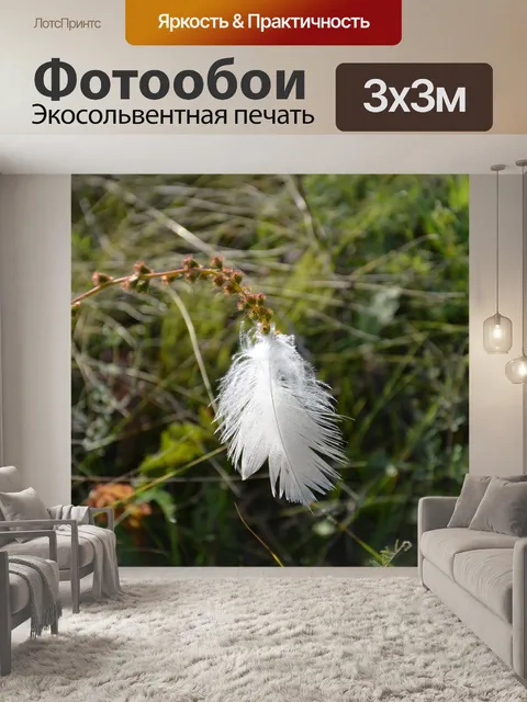 Фотообои Потерянное перо белой птицы