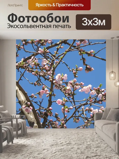 Фотообои Ветви