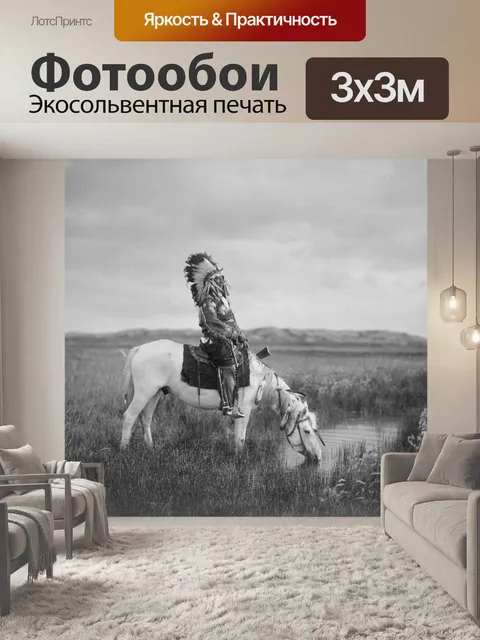 Фотообои Исторический Индийская американский глав