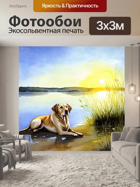 Фотообои лабрадор, лежащий на берегу спокойного озера, с отражением в воде