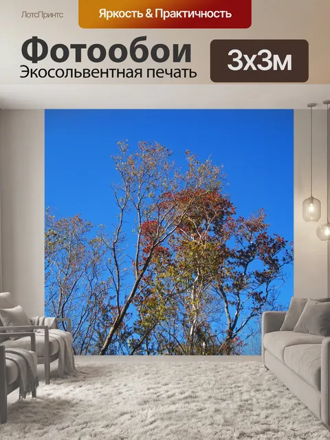 Фотообои деревья с обесцвеченными листьями