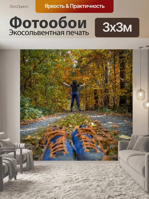 Фотообои Осенний лес
