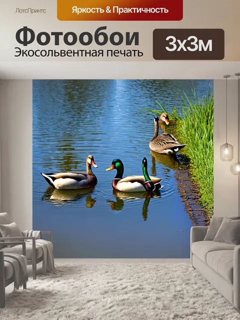 Фотообои с животными, на берегу спокойного озера, семья уток плавает в воде, отражая голубое небо, а на траве сидят…