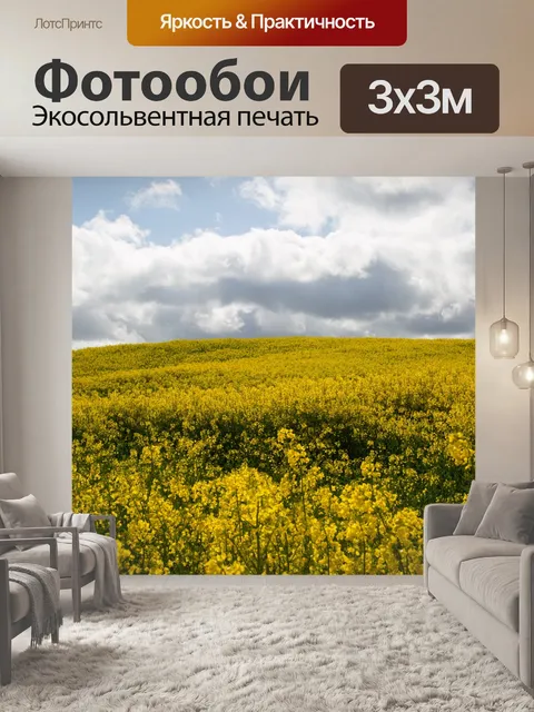 Фотообои Область желтого рапса