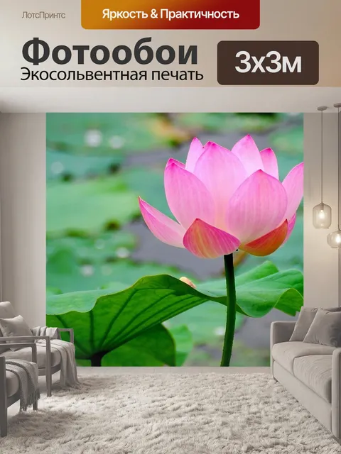 Фотообои Lotus
