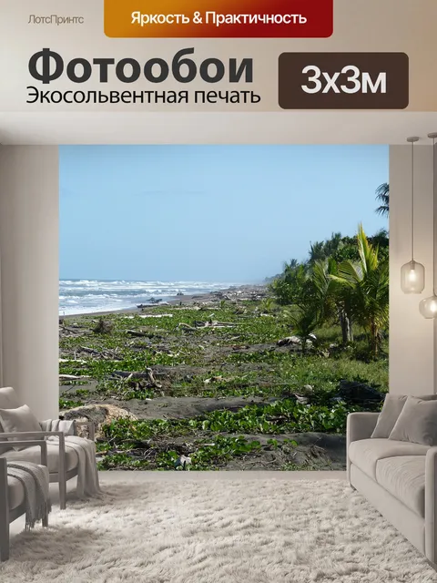 Фотообои Тихоокеанский регион