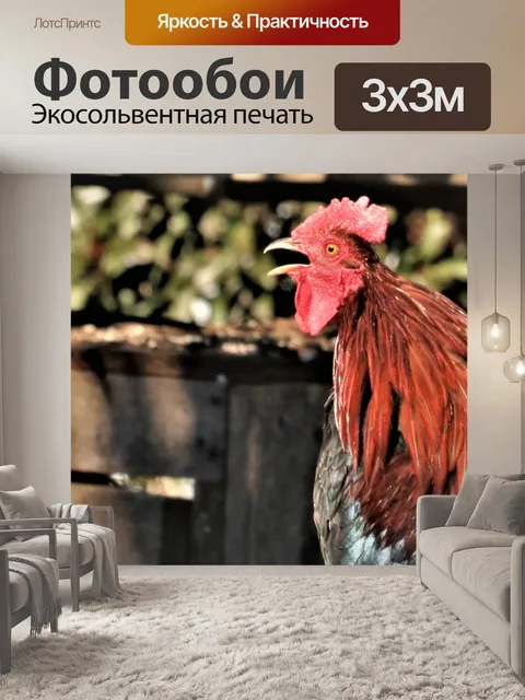 Фотообои Красочный фон кричащий петух