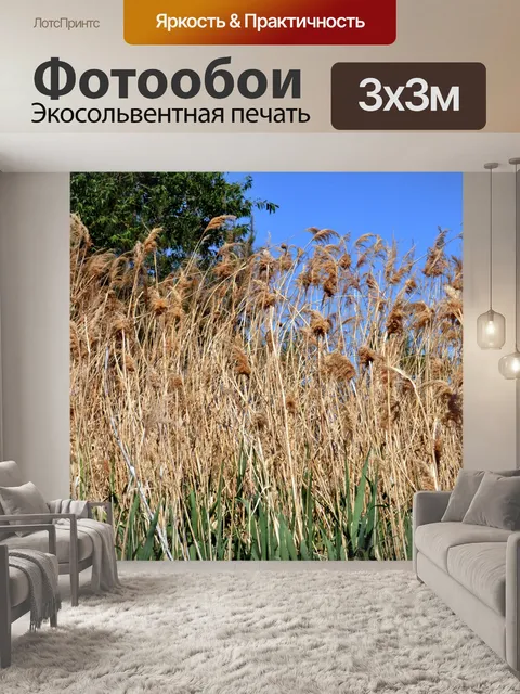 Фотообои Высокая желтая трава